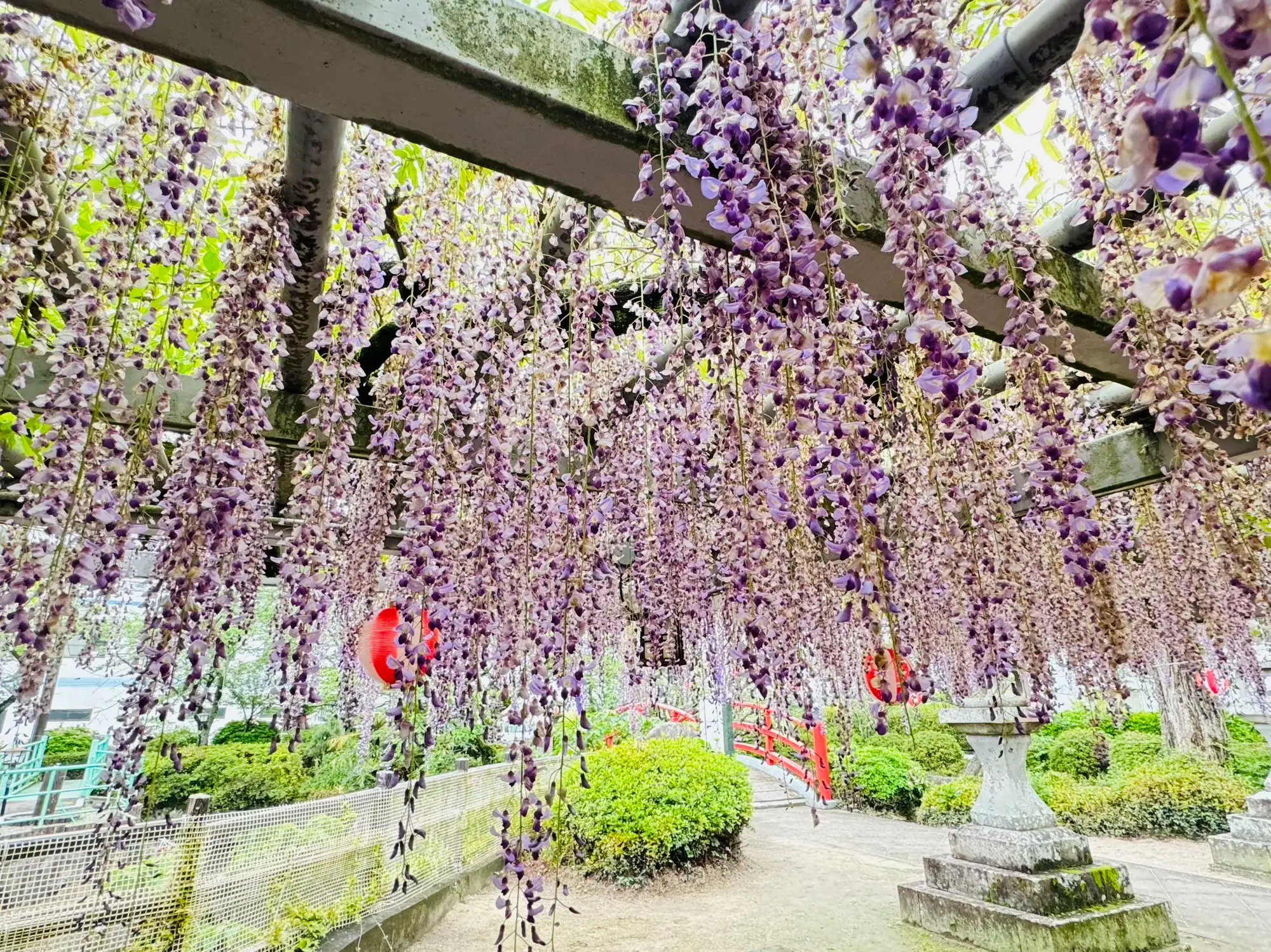 ⛩️ 대 나카토미 신사(오나카토미 진자) 이미지 10